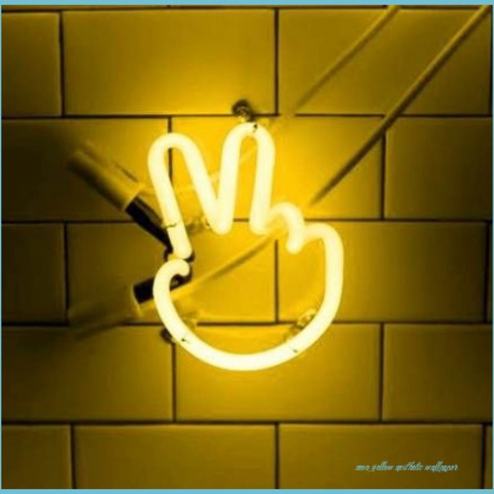 Meet your Posher, Lynzi